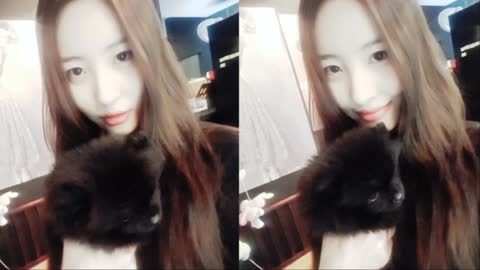 Korean singer, Wonder Girls stern mini cup puppy