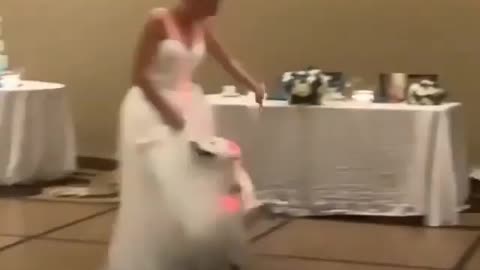 Best wedding dance, have you seen a dog do this?