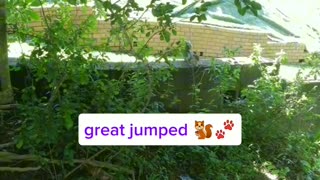 Squirrels are having fun!!!🐿️🐾👀