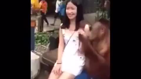 Monkey photographed with tourists