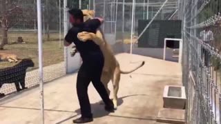 Cubs Reunited With Their Parents After Years!