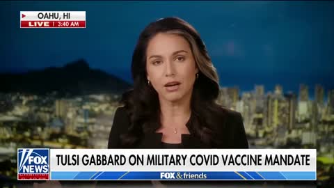 Tulsi Gabbard: This is absolute madness