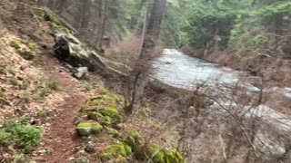 Epic Wilderness River Hiking – Metolius River – Central Oregon