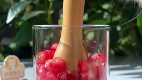 😉The Best Way To Make Pomegranate Juice! _ Chef Cat Cooking