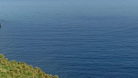 Ponta da Restinga, Ilha Graciosa, Açores