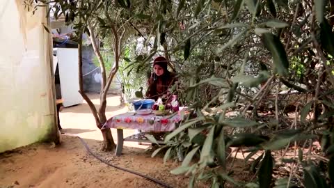 Gazan engineer builds food dehydrating machine