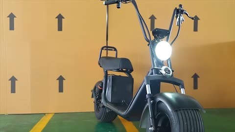 number 1 e scooter on the market