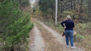 BIGFOOT HUNTING