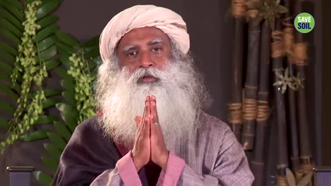 Understanding the Profound Pain of Breakup and Divorce: Insights from Sadhguru