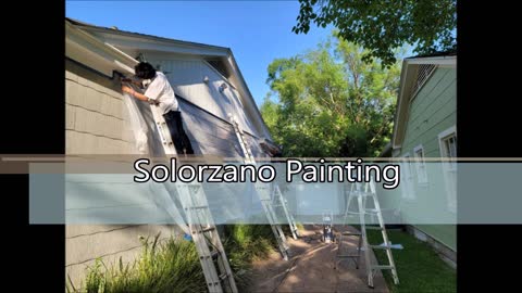 Solorzano Painting - (512) 881-3158