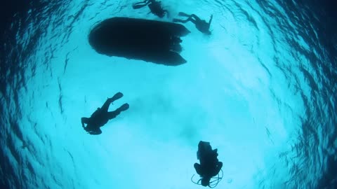 Pristine Seas: The Global Expedition Launches in the Pacific | National Geographic Society