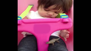 Toddler Girl Plays With Lizard On Swingset