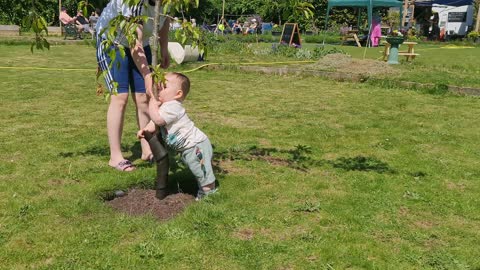 This Baby Loves Trees