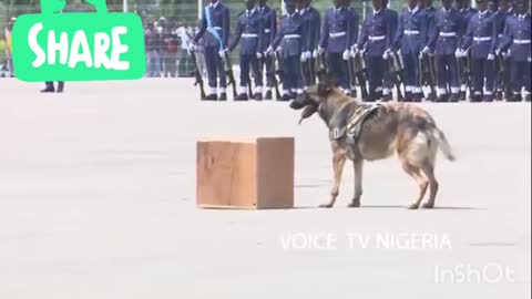 Brillant security performance by Nigeria Airforce