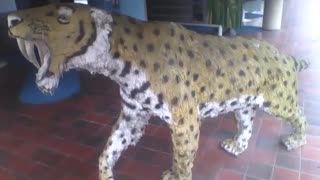 Linda escultura de um tigre no museu de ciências, que animal! [Nature & Animals]