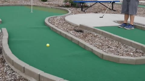 The Most Modest Mini Golf Shot Of The Minute