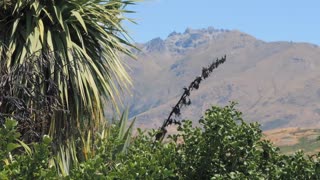 Small Home of the Year in Queenstown, Otago, New Zealand