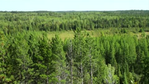 Minnesota Iron Mining Process