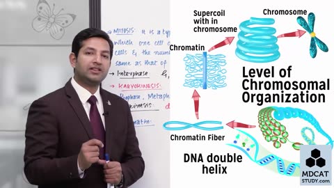 LEC#3 MITOSIS