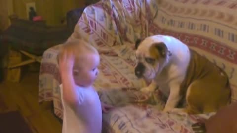 Funny dog and baby 2