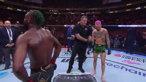 Sean O’Malley KOs Aljamain Sterling at UFC 292