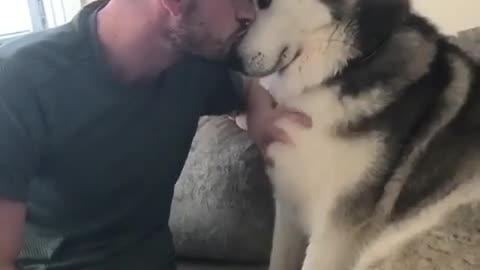 the bonding between man and dog.