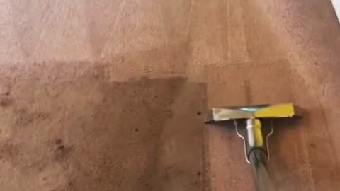 Carpet Cleaning Satisfying Video