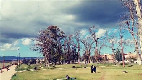 white stork park/Berkane/east of Morocco