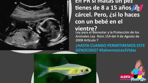 Aborto y la Agenda del Gobierno 2