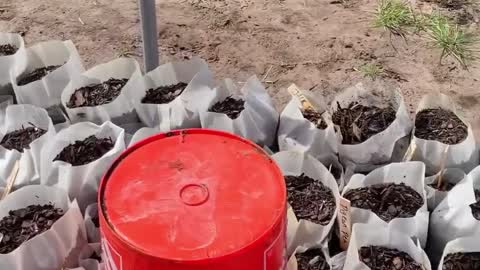 DIY Irrigation Method!