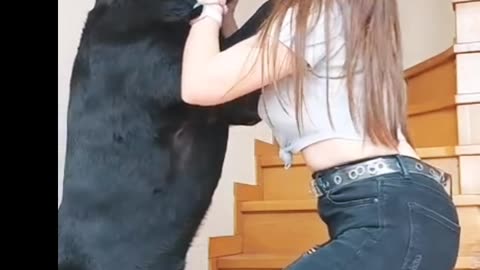 Dog kissing 💋 in hot girl 😂 funny video || animal lovers