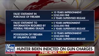 Jesse Watters Explains How Hunter's Indictment Is Deep State Protection For Biden