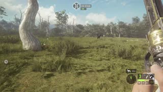 Finally Got a GOLD Peccary!!! Plus a MASSIVE Buffalo | Parque Fernando | theHunter: Call of the Wild