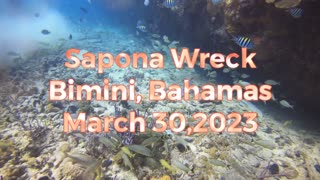 SCUBA diving the Sapona Wreck, Bimini, Bahamas