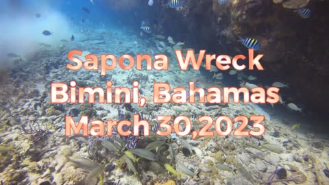 SCUBA diving the Sapona Wreck, Bimini, Bahamas