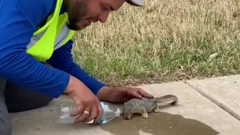Good hearted person gives water to the squirrel