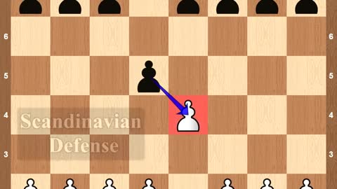 The peruvian immortal game double rook plus queen sacrifice