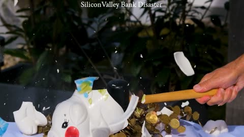 Silicon Valley Bank Disaster bail out plan