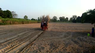 Life in rural Thailand