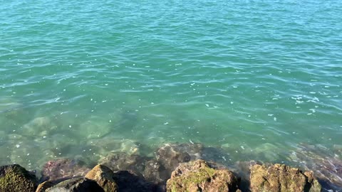 Short Relaxing Ocean Sounds at Key Biscayne, Florida