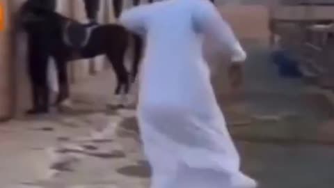 Funny horse hitting man, 🤣😂