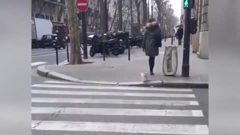 Dog Spins In Circles While Walking With Owner