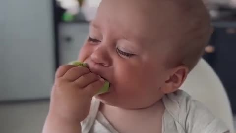 Baby's reaction to fruits