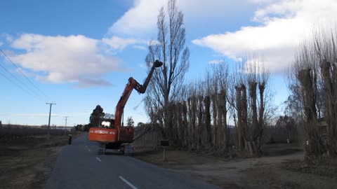 2011 Excavator Tree Trimmer