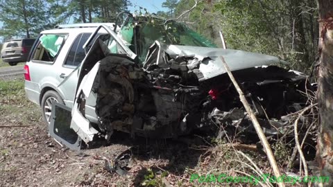 DRIVER SLAMS INTO TREE, SEGNO TEXAS, 02/24/24...