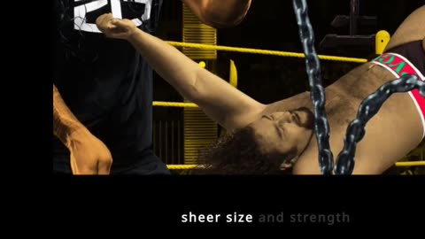 **Weight Classes in WWE: Diversity in the Ring**