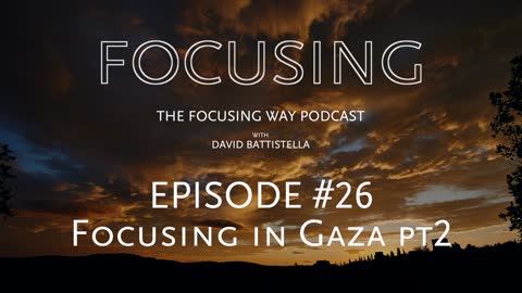 TFW-026: Focusing in the Gaza Strip II