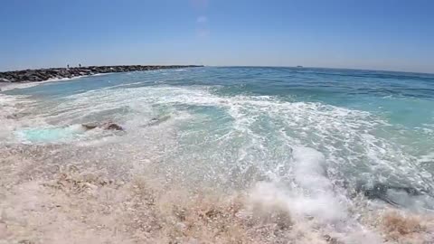 Surfing and Skimboarding WEDGE on massive HIGH TIDE