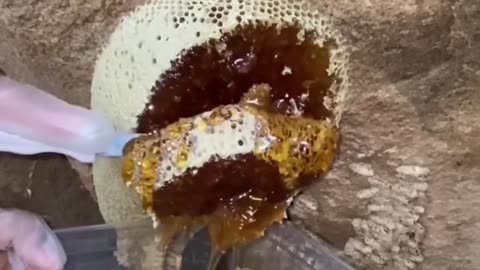 Liquid gold... mountain honey from nature's bounty .. #honey #viral