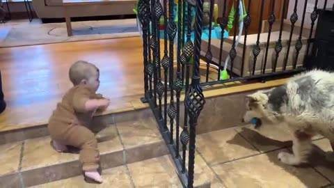 Baby Boy Plays Ball (Cutest Surprise Ever!!)